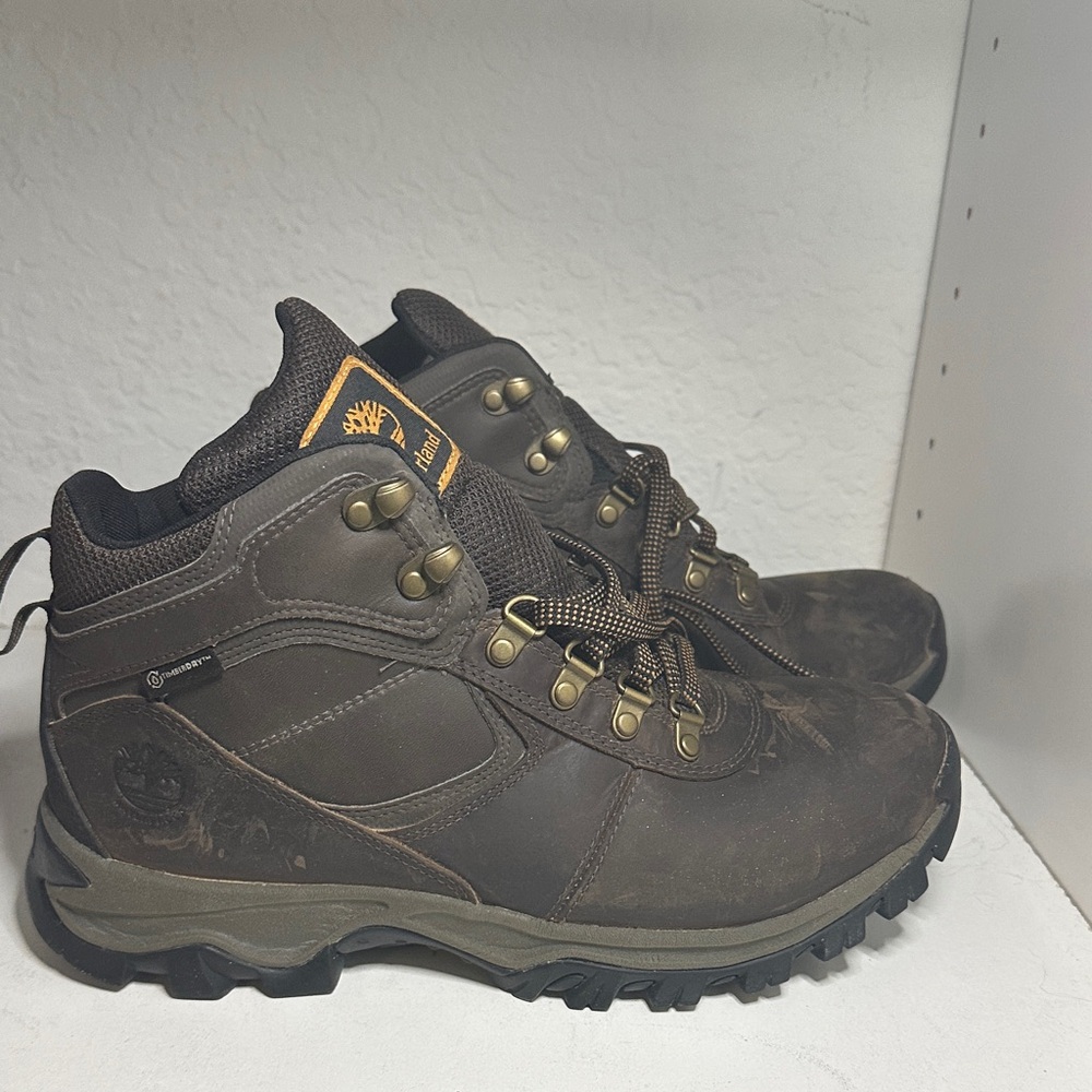 Timberland Men's Dark Brown Lace-Up Leather Hiking Boots